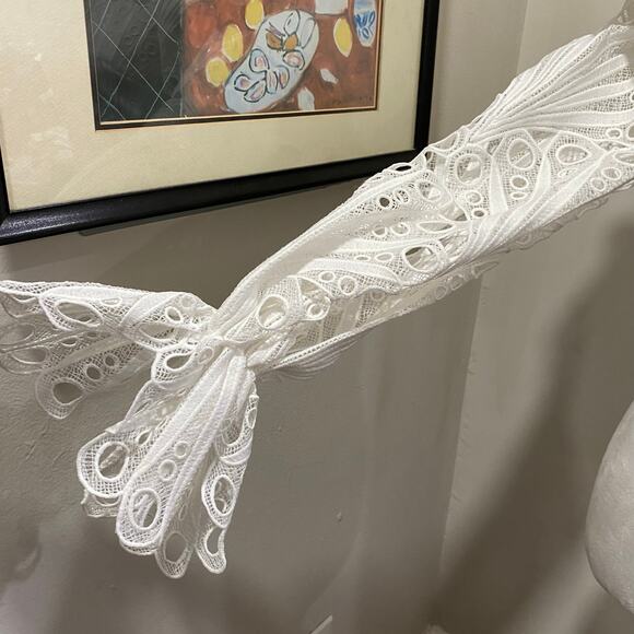 ASOS LUXE Backless Eyelet Ruffle Neck Top Sizes 0 and 4  White Lace Long Sleeve - Picture 5 of 13